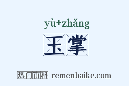 玉掌是什么意思的图片